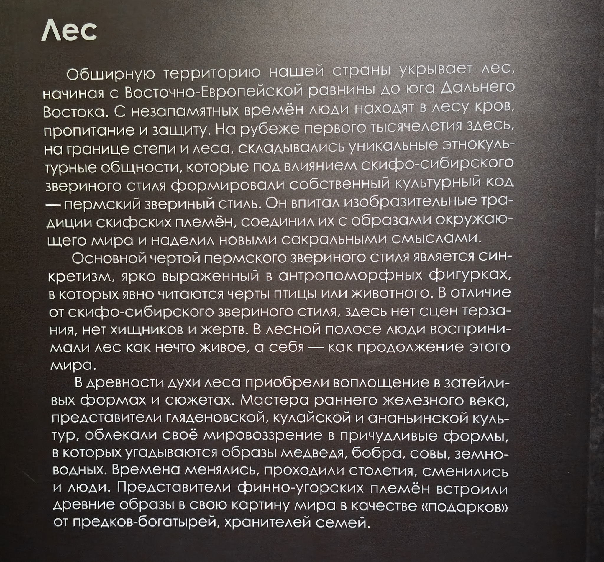 Exhibition Dreams of Siberia. Novosibirsk 2026 - My, Museum, Exhibition, Siberia, sights, Local history, Longpost
