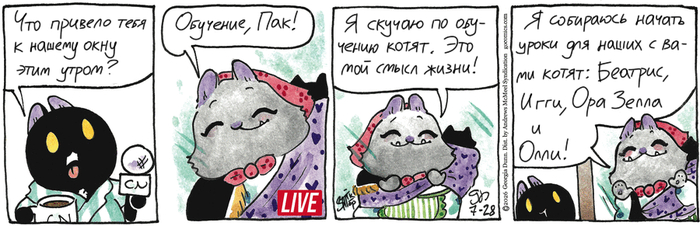 ��������� ������� �� 28.07.2026