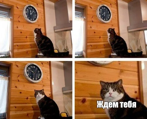 Hello! - My, Chat-Lz, Telegram (link), Telegram, Friends, friendship, July, August, Communication, Communication-Lz, Memes, Talk, Acquaintance