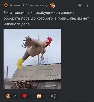 Иллюстрация к комментарию