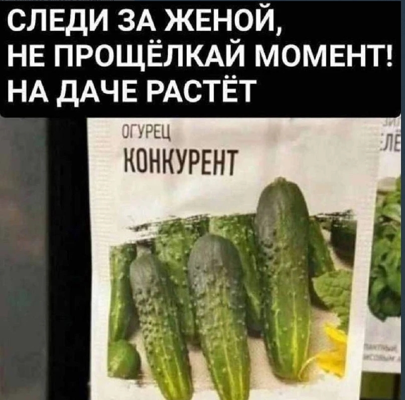 Competitor - Screenshot, Humor, Cucumbers