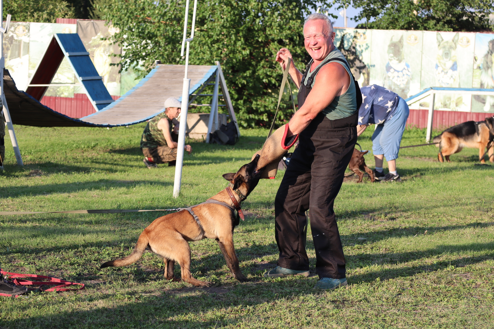 Dog training in Omsk - OCSSSS 07/29/2026 - Puppies, Friends, Omsk, Training, Г“Г±Г±Г±