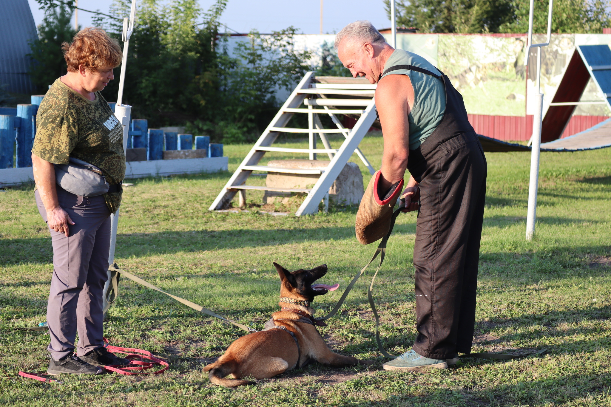 Dog training in Omsk - OCSSSS 07/29/2026 - Puppies, Friends, Omsk, Training, Г“Г±Г±Г±