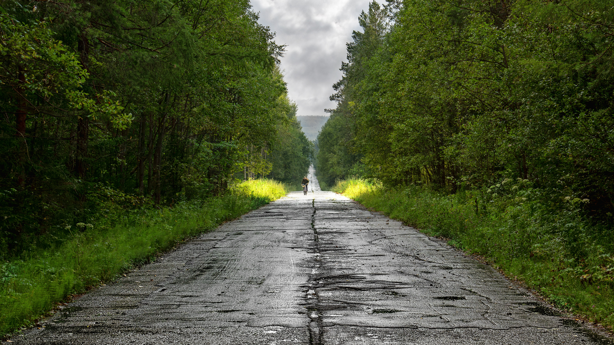 Up - My, The photo, Beginning photographer, Canon, Middle Ural, Summer, Forest, Road, Perspective, Beautiful view, A bike, Cyclist