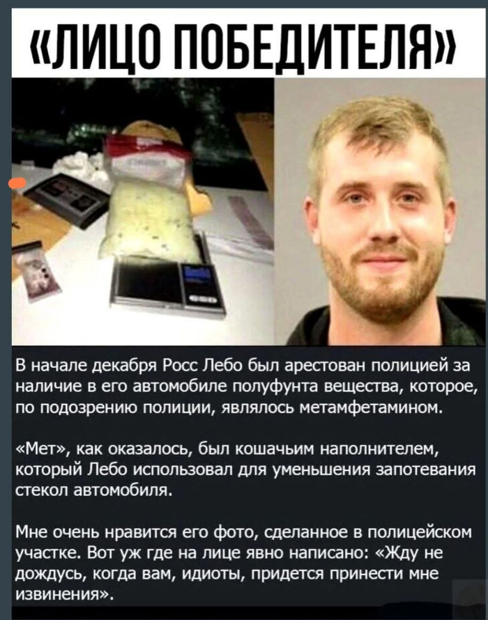 ����������...