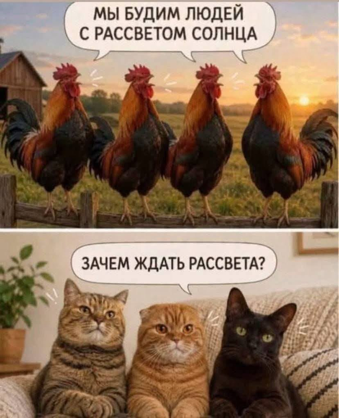 ����� ������� �������� � ������ )