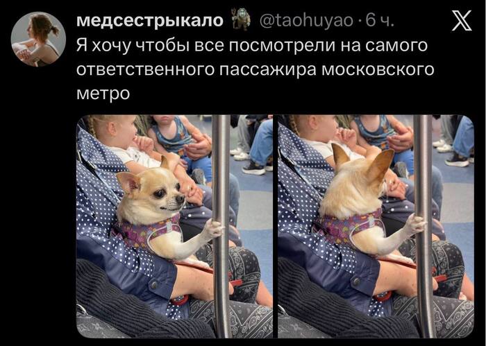 Ответственный пассажир