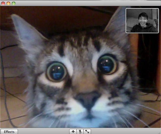 скриншот с Photo Booth