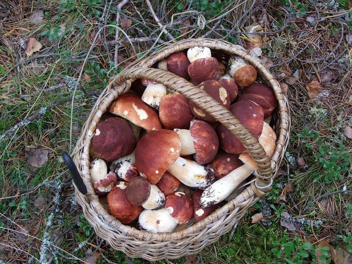 Вкусно будет