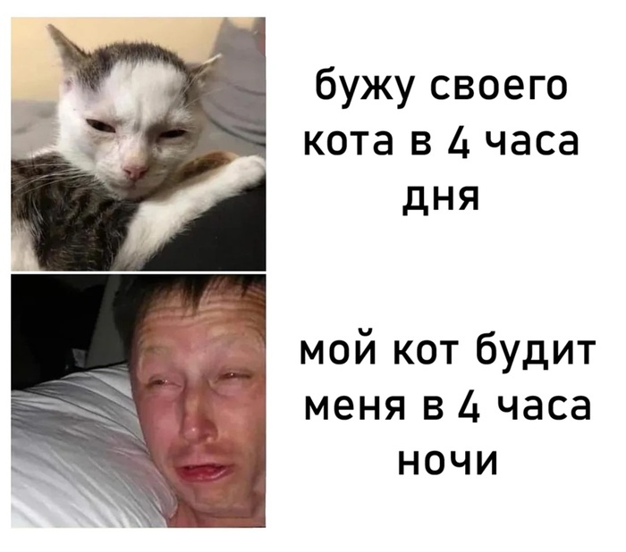 ������ ����