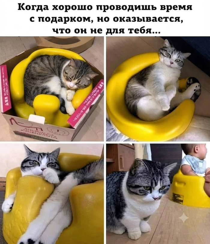 Хорошо проводишь время с подарком