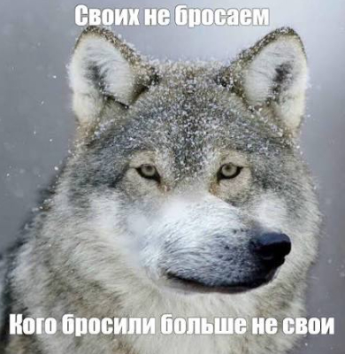 Как говорится