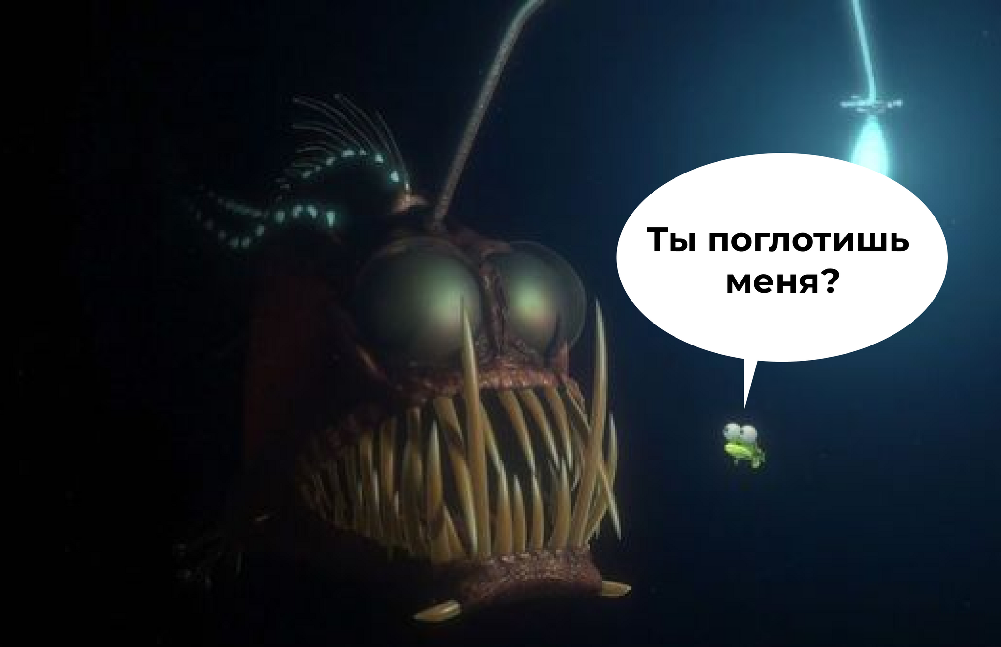 Pregnant males and one mother fish for all: reproduction methods that couldn't be invented intentionally - The medicine, Facts, Animals, Amazing, Reproduction, Longpost, Company Blogs