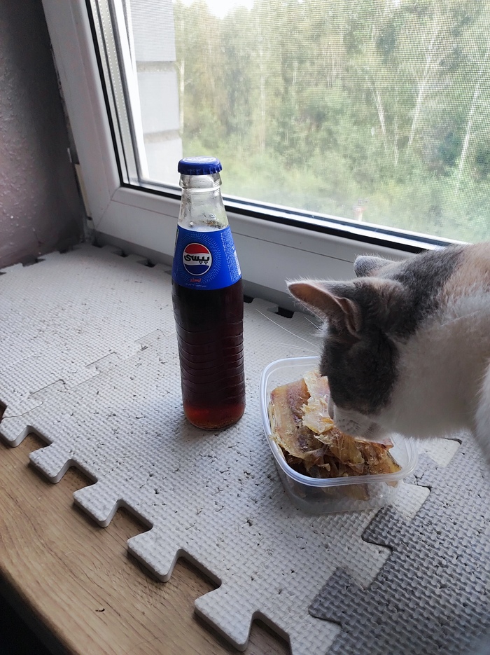 � ���������