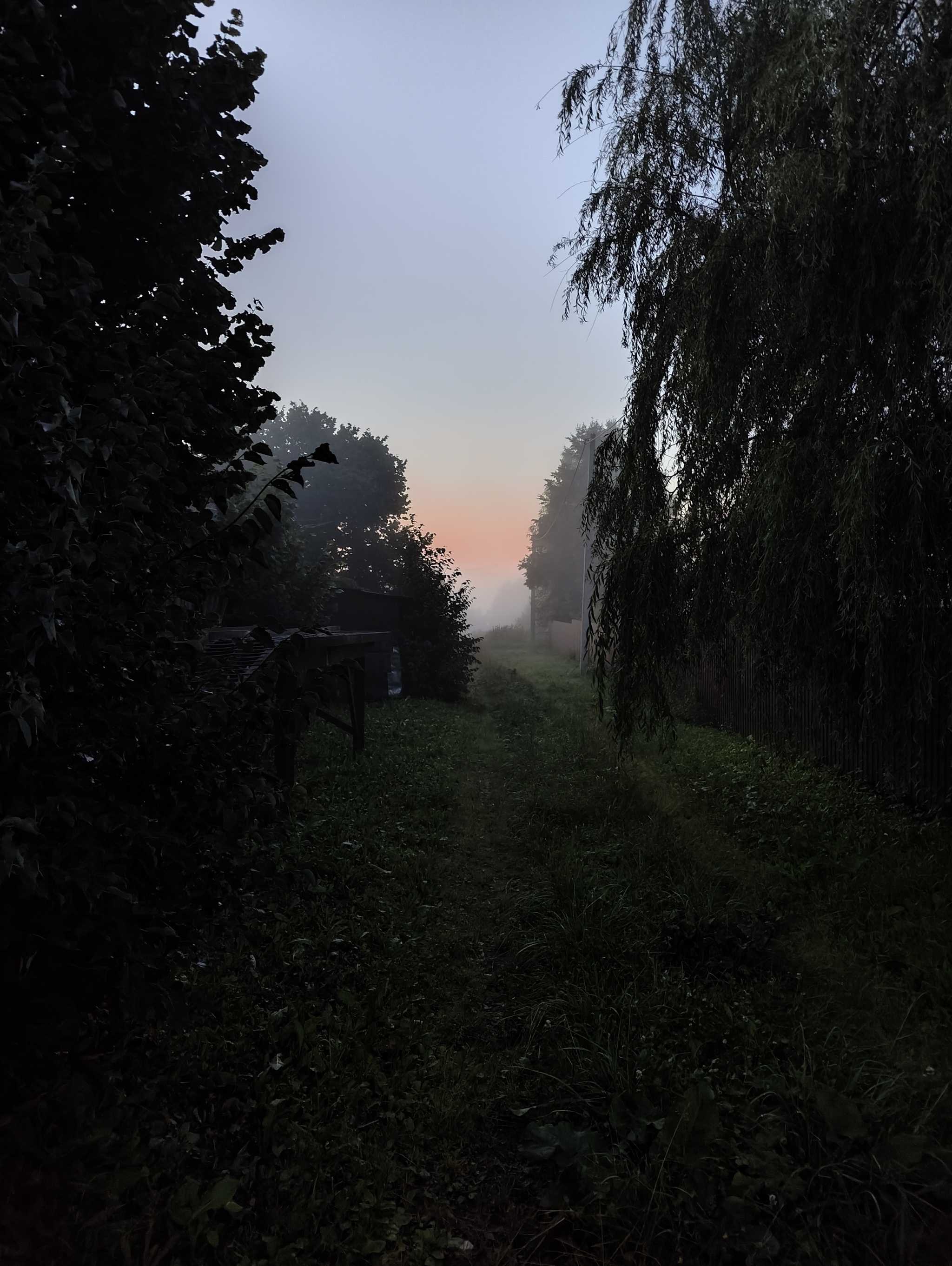 Reply to the post Show me the last photo you took just because you thought it was beautiful. - My, The photo, Mobile photography, A wave of posts, First post, Reply to post