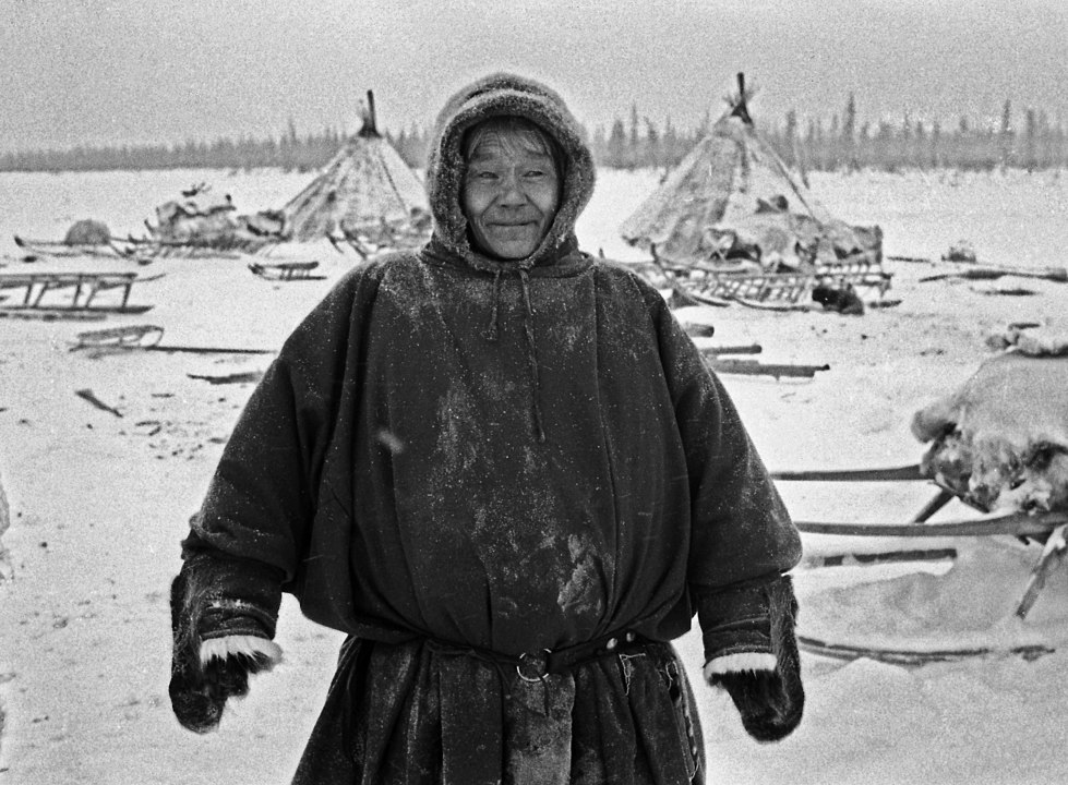 Why do northern peoples eat raw meat? Is it true that they don't get scurvy? - North, Scurvy, Food, Travel across Russia, Yakutia, Animals, Wild animals, Zen, Yandex Zen, Yandex Zen (link), Longpost
