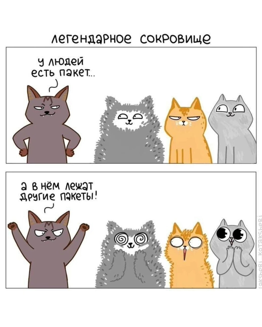 Любые кошки и коты оценят такой подгон!