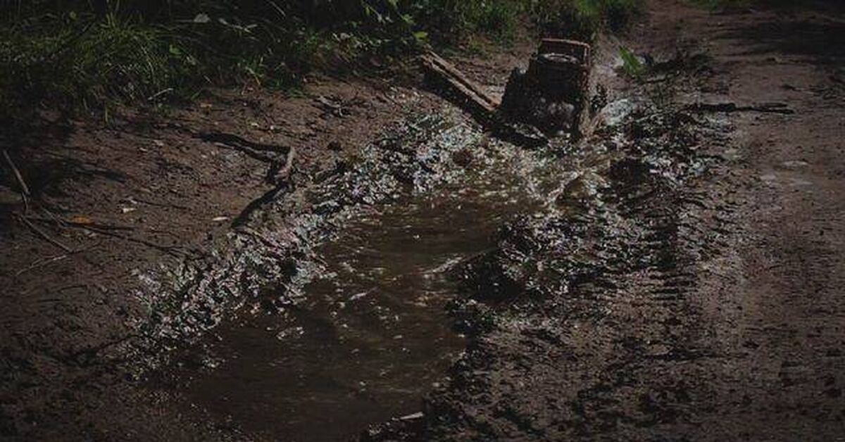 RGT Challenger Summer offroad RC game - My, Video, Radio controlled models, Summer, Rutube