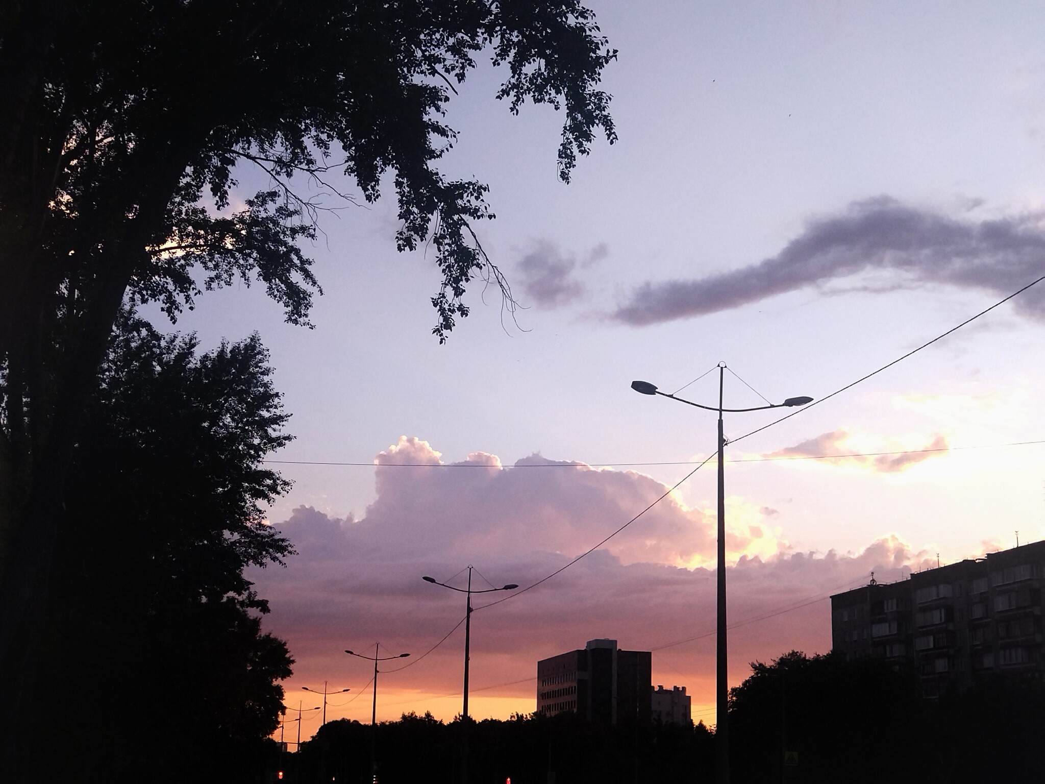 Reply to the post Show me the last photo you took just because you thought it was beautiful. - The photo, Mobile photography, A wave of posts, Reply to post