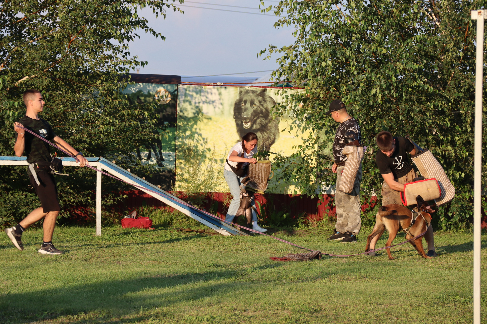 Dog training in Omsk - OCSSSS 07/29/2026 - Puppies, Friends, Omsk, Training, Г“Г±Г±Г±