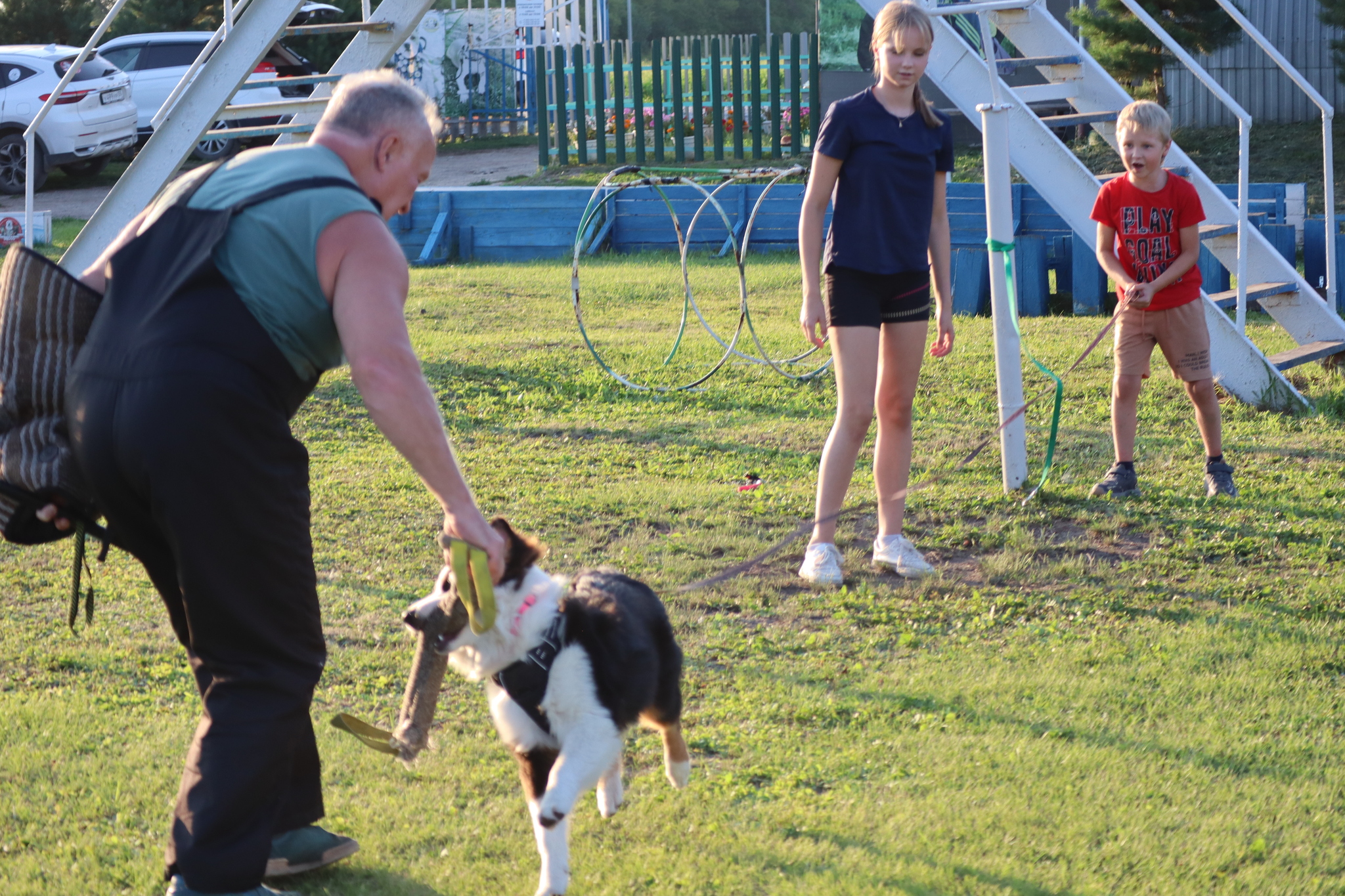 Dog training in Omsk - OCSSSS 07/29/2026 - Puppies, Friends, Omsk, Training, Г“Г±Г±Г±
