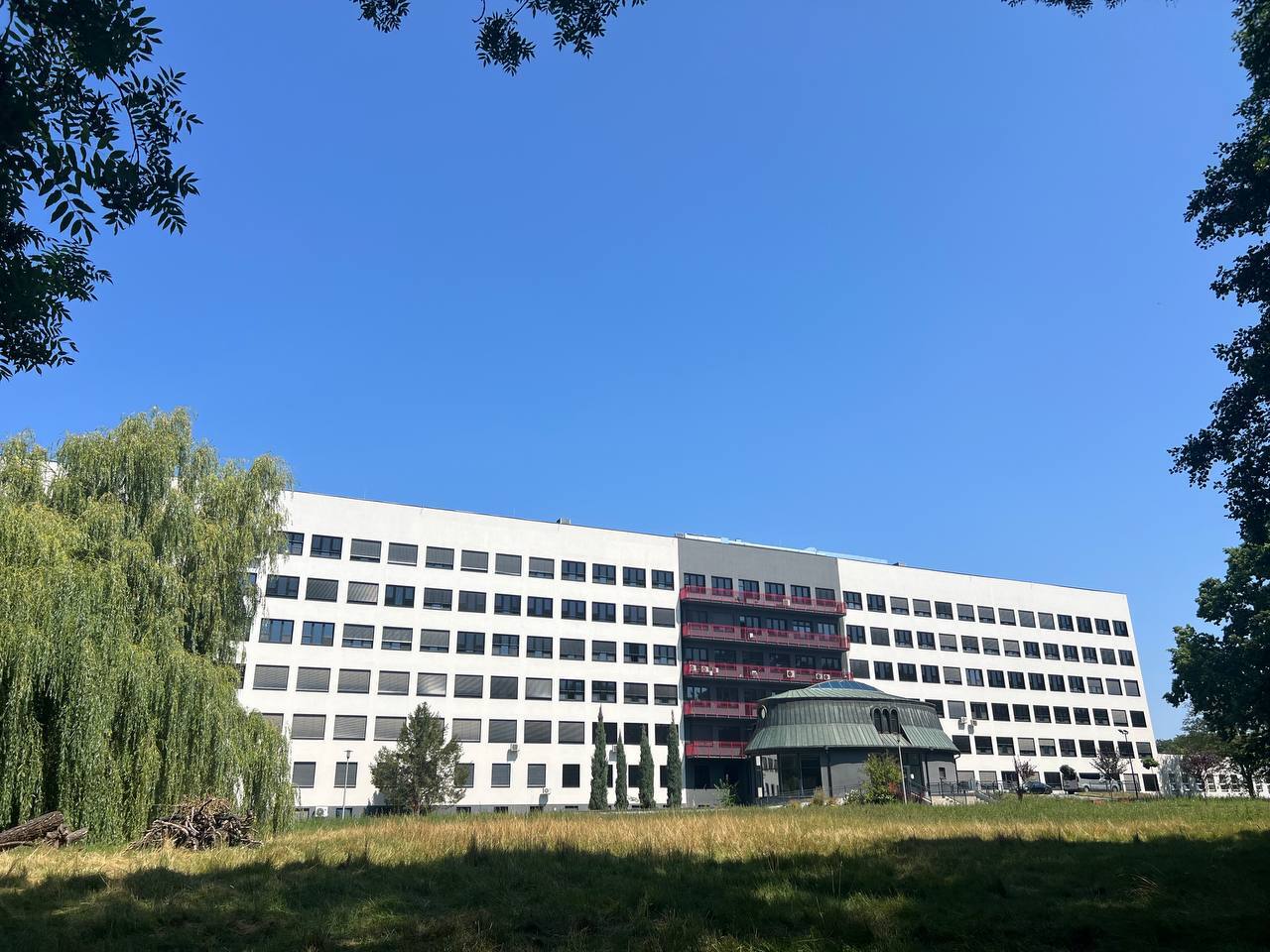 How I had my appendix removed in Poland - My, Life stories, Hospital, Disease, Poland, Living abroad, Appendicitis, Disease history, The patients, Polyclinic, Longpost