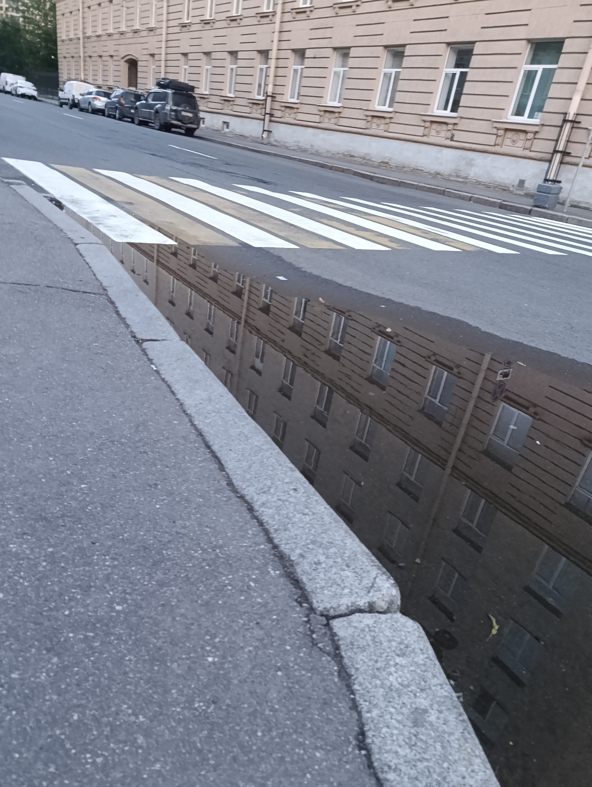 lavaw.62's answer to Show me the last photo you took just because you thought it was pretty. - My, Mobile photography, A wave of posts, Reply to post, Longpost
