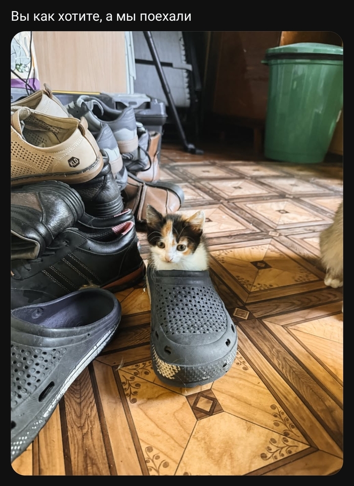 В добрый путь котя