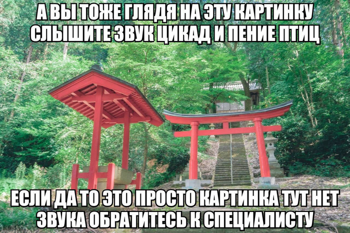 Обратитесь с специалисту