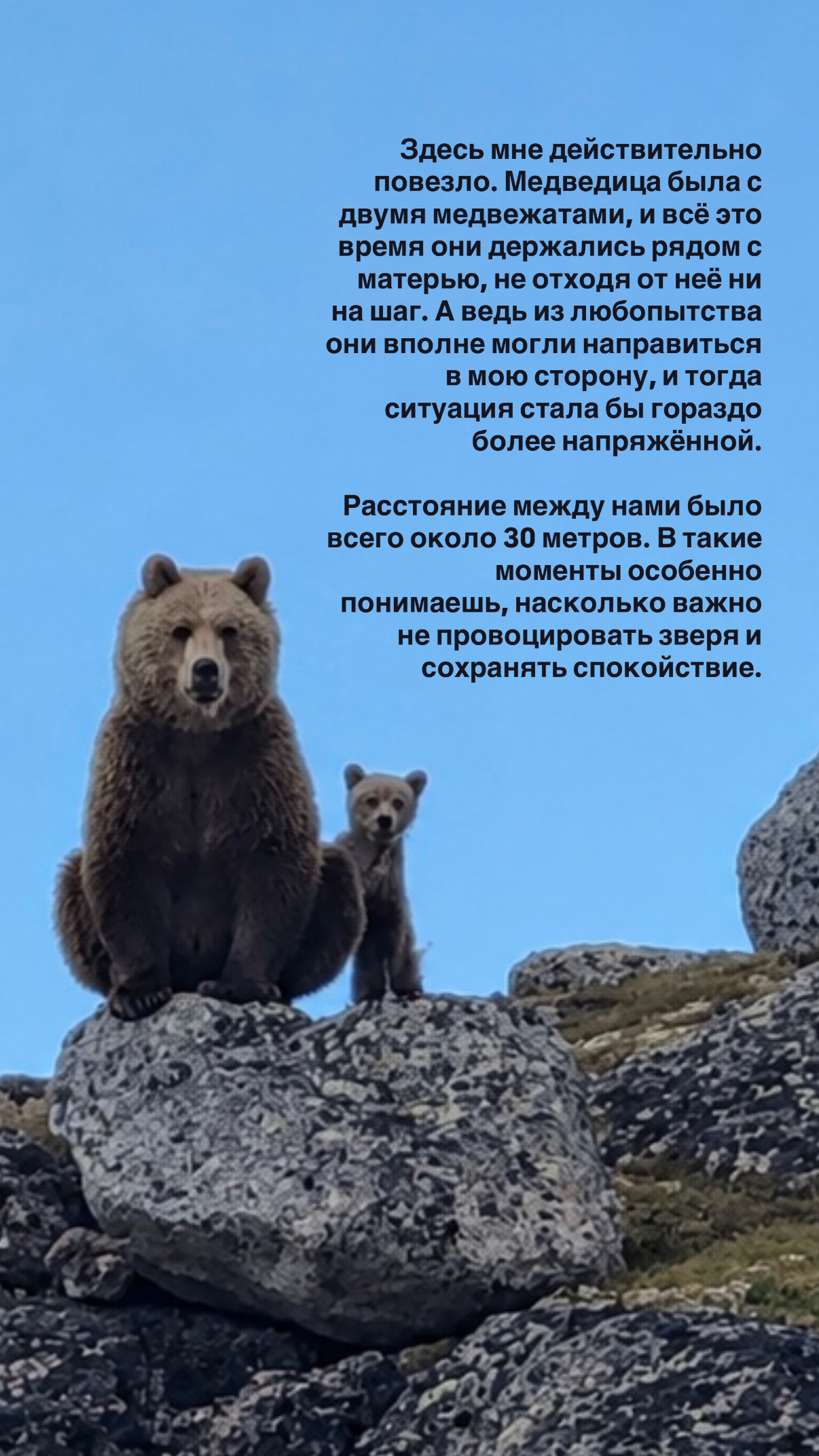 IN 38 DAYS AROUND THE KOLA PENINSULA: FIRST RESULTS - Series Around Kola 2026, My, author, Blog, Leisure, Kola Peninsula, Solo hike, Murmansk region, Hike, Tourism, Longpost