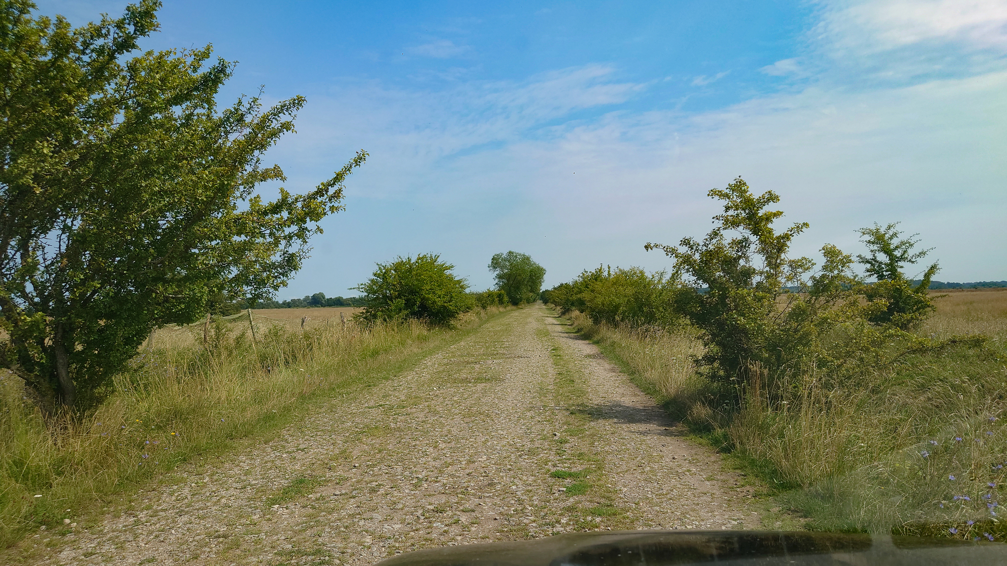 A little rural flavor from the Kaliningrad region - My, Travels, The photo, Mobile photography, Photographer, Beautiful view, Street photography