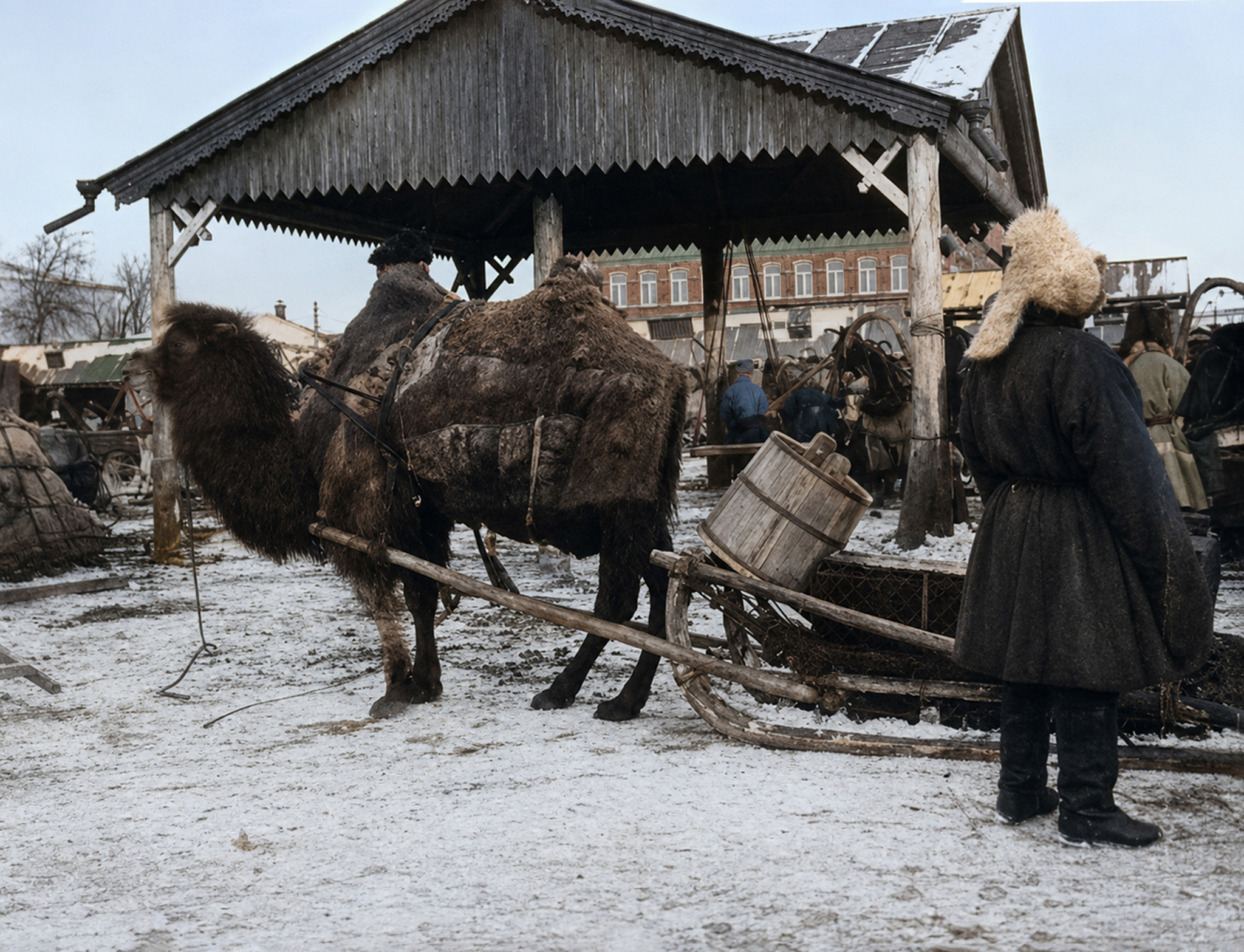 Restored vintage photographs of Omsk - Series Neural networks, My, Neural Network Content, Omsk, Town, The photo, History, Old photo, Longpost