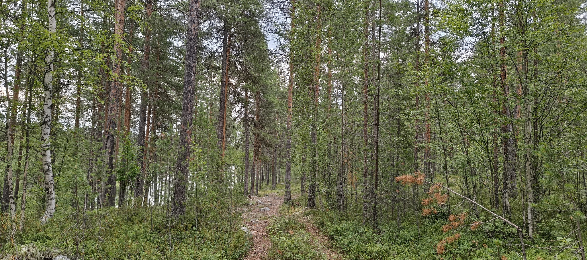 Walking from Moscow to Vladivostok. Across the Arctic, along the Northern Sea Route. Fully immersed in local culture. - On foot, Moscow, Louhi, Карелия, Teriberka, Vladivostok, Longpost