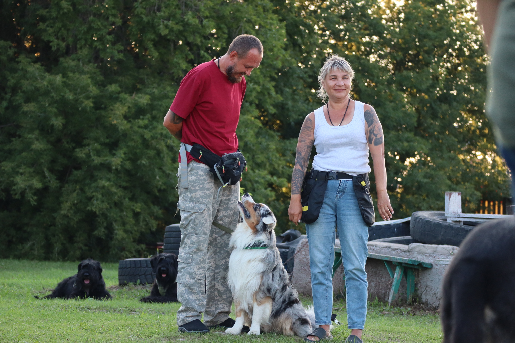 Dog training in Omsk - OCSSSS 07/29/2026 - Puppies, Friends, Omsk, Training, Г“Г±Г±Г±