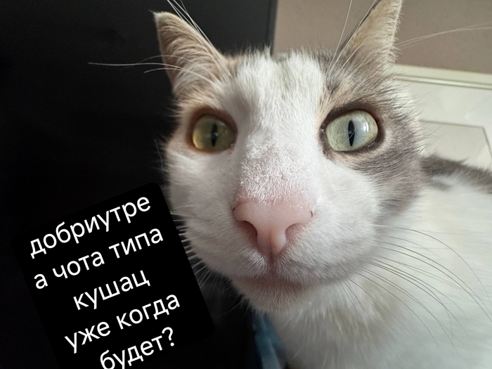 Когда проспал всё на свете