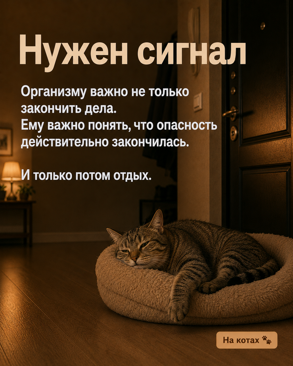 Are you tired? - Neural Network Content, Picture with text, Memes, Milota, Images, Psychology