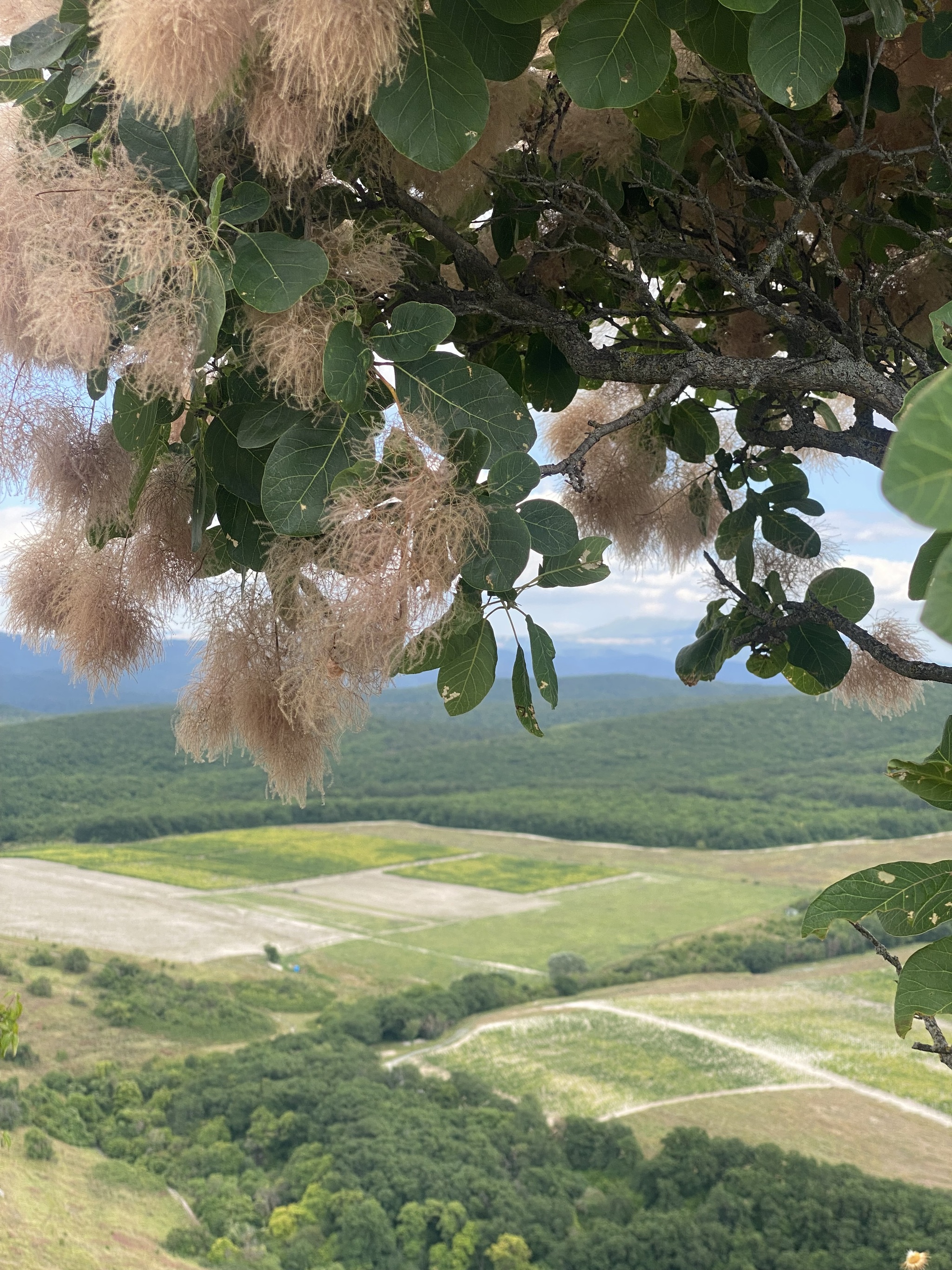 Two months of summer flew by too quickly, didn't they? - My, Crimea, Bakhchisarai, Local history, Tourism, The photo, Travel across Russia, Longpost