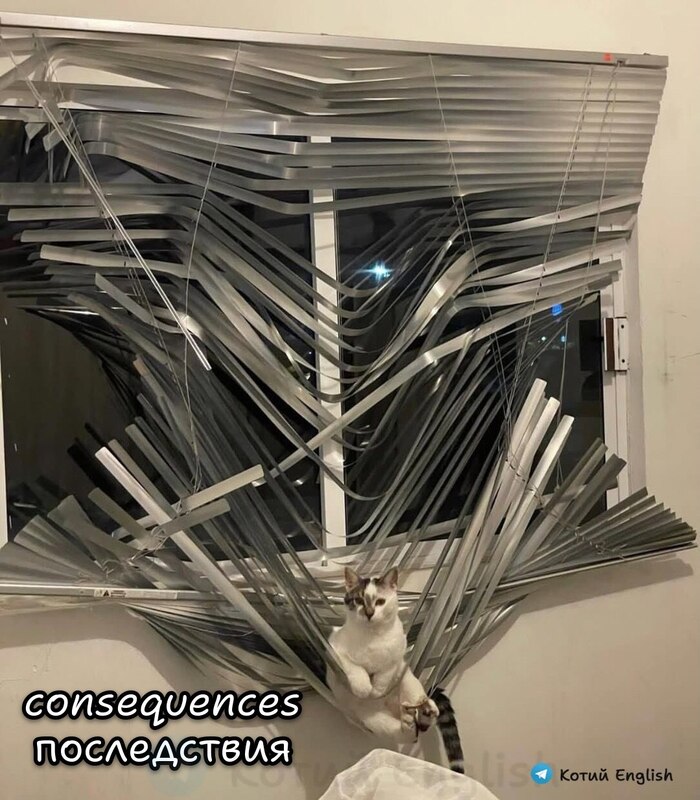 ����� ��� ���� ������