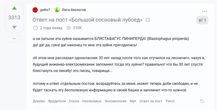 � ��� ������� ��� ���� ����. ����������� ���������, ��� ���������
