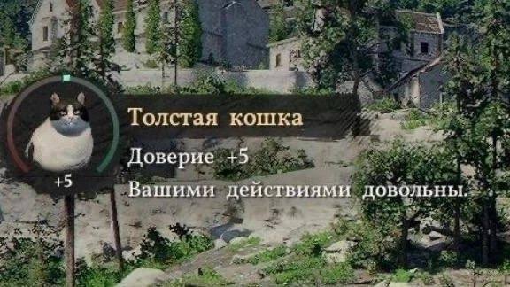 Когда дал кошке кусочек колбаски со стола