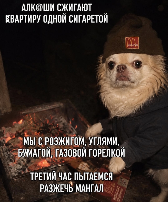 Жиза