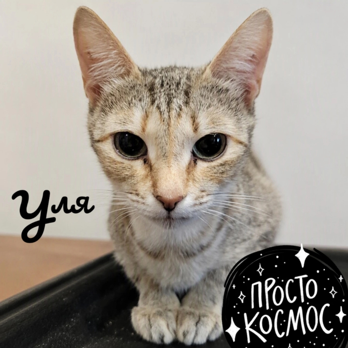 У Л Я просто космос