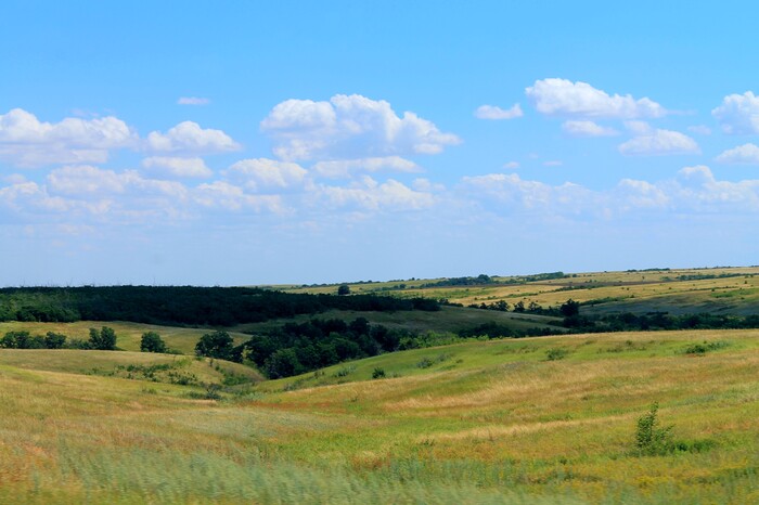 Степные зарисовки