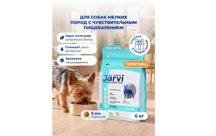 ��������������� ��������������� �������� Jarvi �� �������� ��� ����� � �������������� ������������.