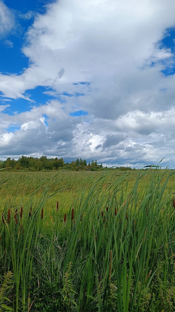 Окрестности озера Большой Бугодак. Фото: Алена Калинина