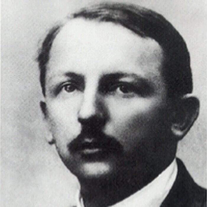 Хенк Маринг Снейвлит.