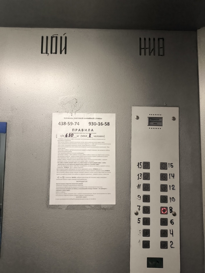 Цой жив в самых неожиданных местах