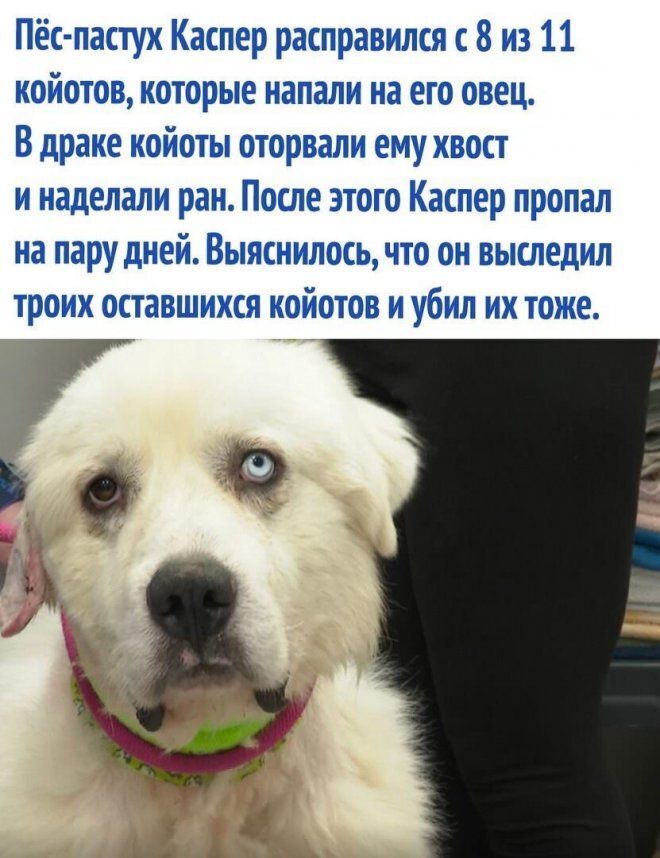� ������ �����...