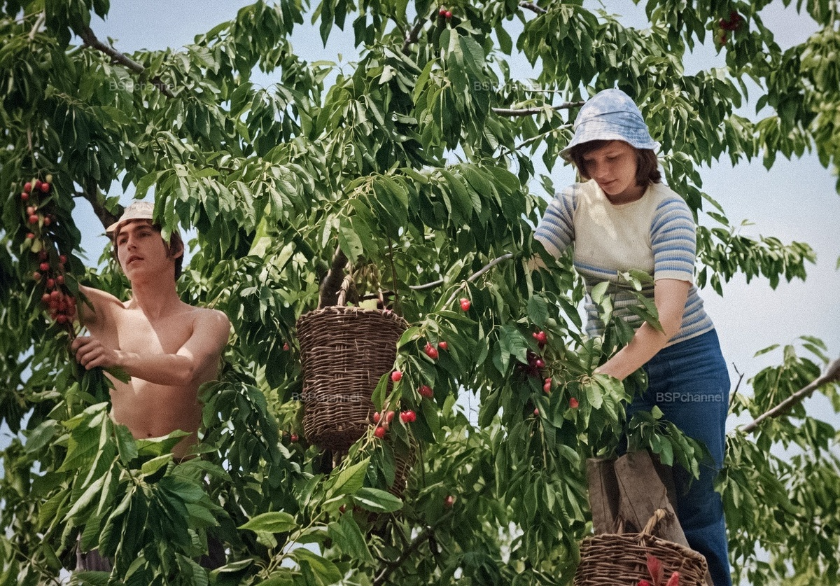 A collection of simple and stunning photographs from the Soviet era. 20 colorized photographs. Part 45. - Series Photo Collections, My, Old photo, the USSR, Childhood in the USSR, 60th, 70th, 80-е, 50th, The photo, Colorization, 20th century, Longpost