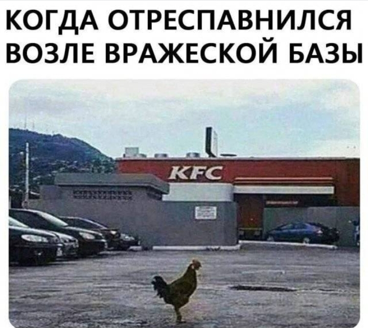 Подборка слегка черного юмора (немножко совсем) - Юмор, Черный юмор, Подборка, Скриншот, Комментарии, Мат, Зашакалено, Картинка с текстом